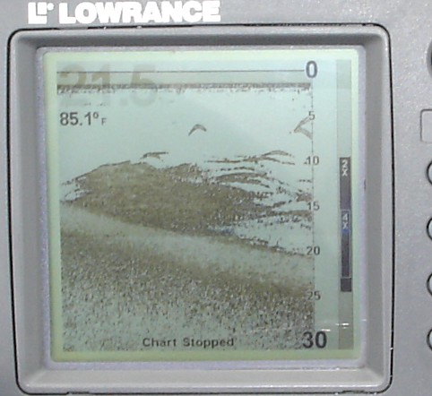 Shad pinned to the bottom.  