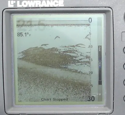 Shad pinned to the bottom.