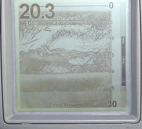 What's on that graph?