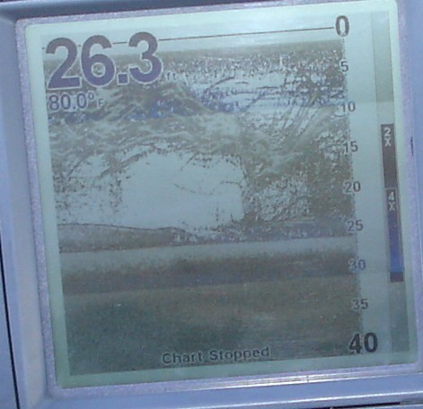  fish everywhere Swimming fast through the graphs transducer