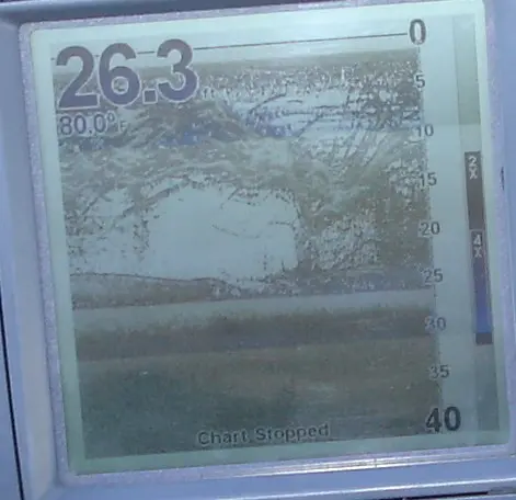 fish everywhere Swimming fast through the graphs transducer