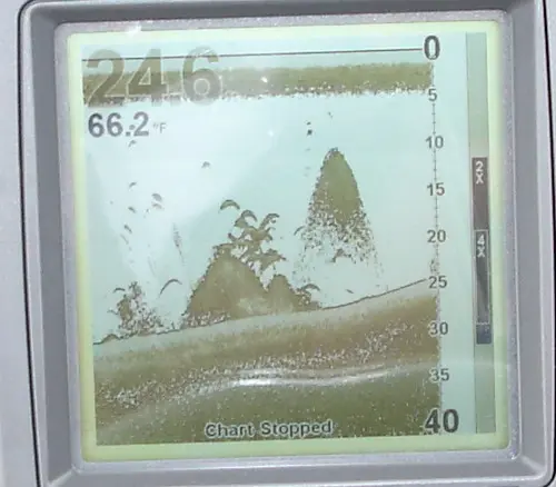 waiting for the dinner bell