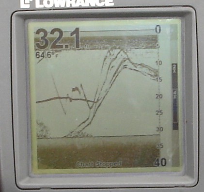 bass eating a drop shot