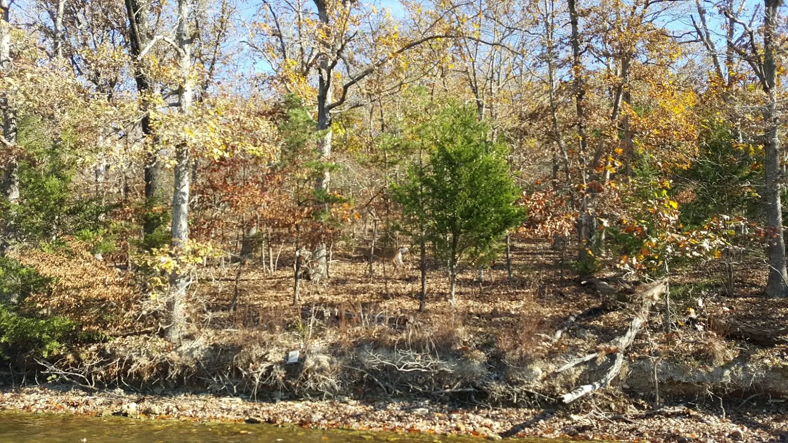 24-Hour Learning Curve at Lake Ozark, Missouri