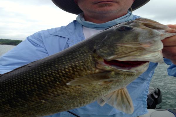 images/gallery1/0139f85906e2661d0e48881d679ea0f0ff2f2cc840 (201.jpg