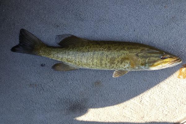 images/gallery1/IMG_20160817_170927 (2017_03_14 02_44_27 UTC).jpg