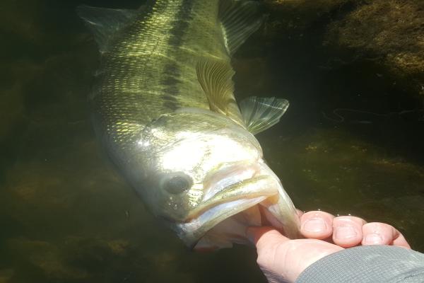 images/gallery1/IMG_20170127_175754_695 (2017_05_03 00_19_01 UT.jpg