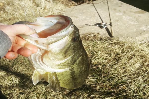 images/gallery1/IMG_20170128_133513_035 (2017_03_14 04_03_54 UTC).jpg