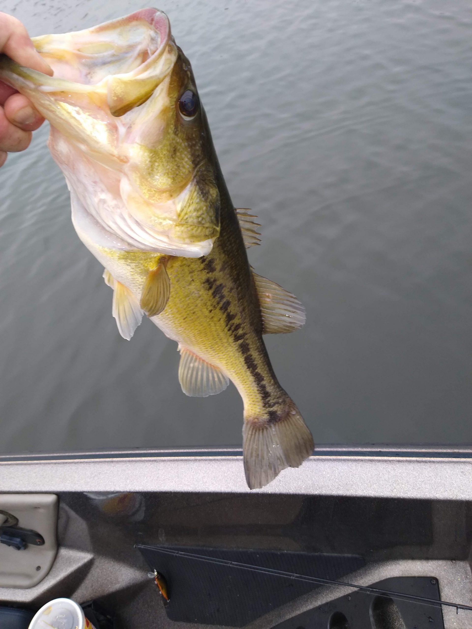 largemouth bass fishing